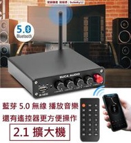 [訂製] 發燒音響 SUCA M-503C 綜合擴大機 2.1 2.2 重低音 藍芽 5.0 無線 USB 微型 擴大機