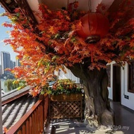 Large Cement Tree Simulation Hotel Maple Indoor Tree View Fake Leaf Tree Wedding Artificial Cave Bag