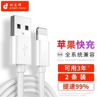 驯龙师（dragon master） 苹果安卓Type-c快充华为荣耀p20pro30p40充电线器 【1米/2条】苹果快充线