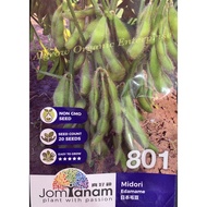 Biji Bernih Sayur/ Vege Seed JT801 Kacang Edamame / Midori Edamame/ 日本毛豆 (20 seeds)