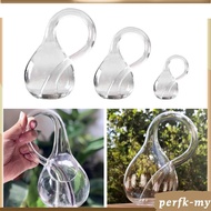 [PerfkMY] Glass Vase Bottle Modern Tabletop Vase Mathematics Experiment Equipment Physical Experimen