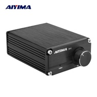 HOT! AIYIMA 100W TPA3116 Subwoofer Power Amplifier Audio Board Home