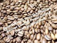 【珈堂咖啡】哥倫比亞 薇拉省 蒙大布蘭蔻莊園 紫卡杜拉 百香果特殊發酵 水洗處理 咖啡豆