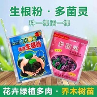 Hot Sale Rooting Powder Rapid Plant Fruit Tree Transplanting Rooting Flower Seedling Strengthening C