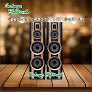 Speaker Aktif Polytron Pas 29 | Pas 8E28 Original