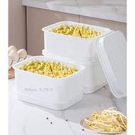 Home Bean Sprout Tray Set, Convenient Sprout Growing Tray, Hydroponic Vegetable Raising Shelf