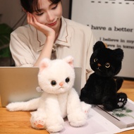 Devon Cat Teddy Bear with Big Eyes - Cute Soft and Fluffy White Cat Stuffed Animal DC011