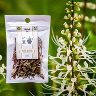 Cat's Whiskers Tea / Kidney Java Tea / Natural Herbal Tea