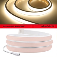 12V 24V 320Leds/M COB นีออนกันน้ํา 3000K 4000K 6000K Home Decor สว่างสูงยืดหยุ่นริบบิ้นเชือก LED Lig