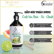 Dầu Gội Thảo Dược Đông Y Tinh Dầu Bưởi - Sả - Chanh Hoàng Dũng Cosmetics (800ml) Chính Hãng Kích Thí