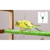 Rantai leher burung (Budgie , Cockatiel , Sun Conure) / Parrot neck cover bird  (Budgie , Cockatiel 