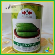 East West Seeds Cucumber/ Pipino Mega C 50 grams/ can