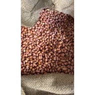 kacang Tanah/ Ground nuts/1.9kg/Top quality