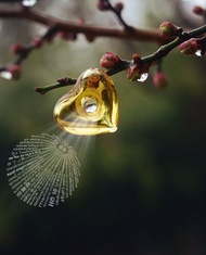 心語心願  融入高科技 香薰擴香 胸針 投影 吊飾 客製化 袖扣