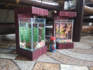 akuarium minimalis display kabinet mewah harga murah aquarium ikan cupang