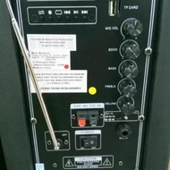 Aiwa 12 Inch Portable Speaker with 2 Wireless Mics