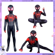Spiderman Into The Spider Verse Costume/Costume Miles Morales Boys