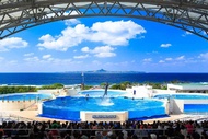 【日本】沖繩北部一日遊（那霸・北谷出發）｜萬座毛・古宇利島・美麗海水族館・美國村｜中文導遊&贈送全程景點門票
