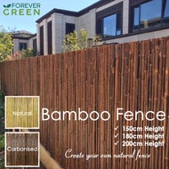 Bamboo Partition / Bamboo Fence / Garden Fence / Natural Privacy Screen / Garden Divider / Privacy D