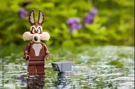 Lego 71030 Looney Tunes Minifigures Marvin the Martian 連底板 說明書 包裝袋  (全新開袋確認)