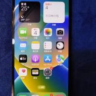 IPhone 13Pro Max 256G