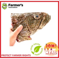 SEA GROUPER FISHHEAD (HALF)