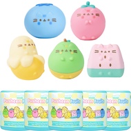 Hamee Pusheen The Cat [Surprise Blind Capsule] [Fruits Series] Cute Water Filled Squishy Toy [Birthd