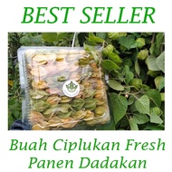 BUAH CIPLUKAN 1 KG SEGAR PANEN DADAKAN /CECENDET