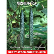 1pack  Bernih Timun cucumber 5 seeds黄瓜种子 5粒