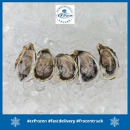 CR Frozen Australia Oyster Meat (5pcs) Shashimi Grade