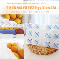 ICE THERMAL - PENDINGIN ES KRIM BOX - PENDINGIN ES KRIM BOX MURAH