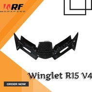 Winglet Carbon R15M R15 V4 Connected