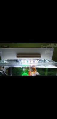 Top filter talang waterfall 60 cm dan tutup atas dengan include lampu uv