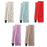 Schwarzkopf Igora Royal Color  60ml + Developer