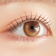 (แบ่งขาย/ยกกล่อง) 🍮MYFiPN Brille 1 Day สี Caramel คอนแทคเลนส์รายวัน Nanalens Dia 14.5