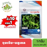 3A (ซื้อ10แถม1) เมล็ดพันธุ์ จุยเจีย-บลูเคล ขนาด1กรัม ประมาณ300เมล็ด DWARF BLUE KALE คะน้าเคล เคล เมล