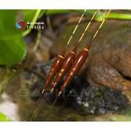 SPECIAL ELECTRIC FLOAT D01