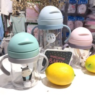 250ml flat tube water bottle