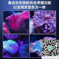 魚缸燈海水缸專用led小丑魚軟體珊瑚射燈海葵補光燈藻燈淺海新手海缸燈水族燈