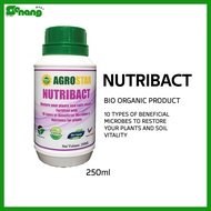 AGROSTAR NutriBact – Bio-Organic Fertilizer with 10 Beneficial Microbes & Nutrients for Soil & Plant