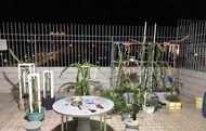 戶外太陽能燈全套