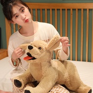 B16 ของเล่นเด็ก ตุ๊กตาลาบราดอร์ สุนัขตุ๊กตาน่ารัก  งานจริงน่ารัก  สินค้าพร้อมส่ง