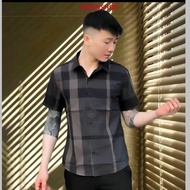 Men's short-sleeved bbr shirt with brown and black stripes, bbr model, imported cotton fabric, new m