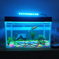 ice blue 10 lampu aqurium