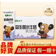 食芳溢桂牛益生菌水牛奶200ML*10广西益生菌乳饮品 益生菌水牛奶10盒 牛奶10盒