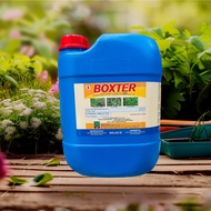 Boxter 20LITER Racun Basta Glufosinate Ammonium 13.5% / RACUN Rumput Rumpai / RACUN Rumput Sambau