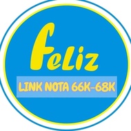 LINK CO LIVE NOTE 66K-68K