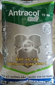 Thuốc trừ bệnh cây trồng ANTRACOL 70WP BAYER 1kg