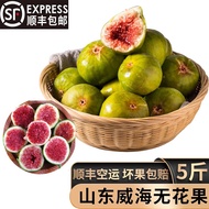 鑫果滋【顺丰空运】威海青皮无花果山东绿皮无花果鲜果时令新鲜孕妇水果 2斤甄选S+级【1斤11个左右】