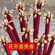 Bunch Of 18 Beautiful Incense Sticks Of Precious Incense Sticks, Super Beautiful Altar, Attracting Fortune